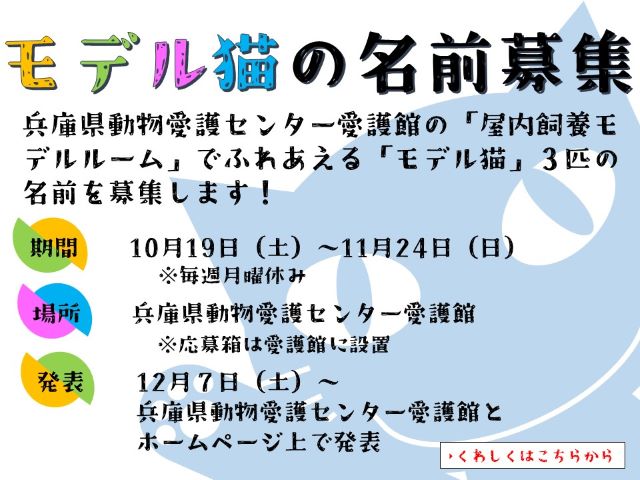 10月19日（土）～11月24日（日）