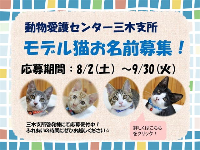 【三木支所】モデル猫名前募集